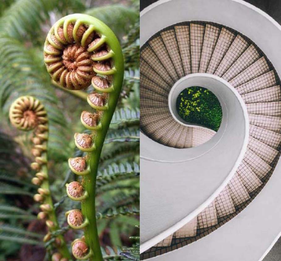 Architecture Beauty and Nature Guildford
